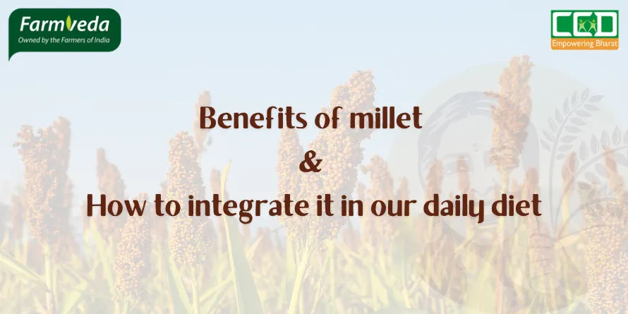 Benefits of millet and how to integrate it in our daily diet