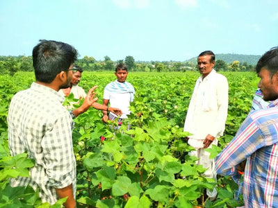 Work done by Centre for Collective Development and Farmveda since Dec 2017