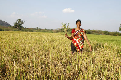 The Farmers of India