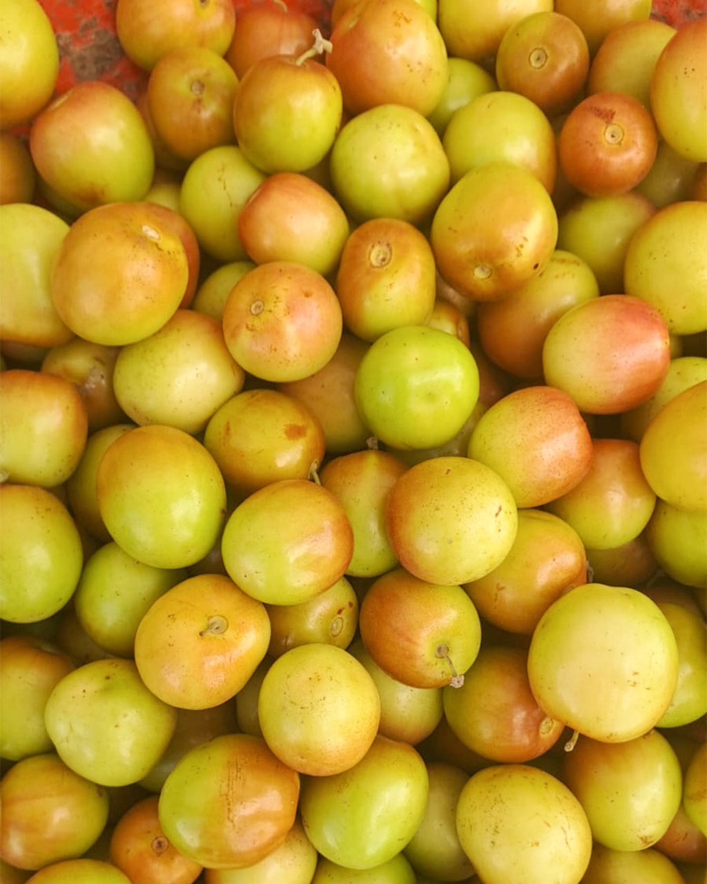 Organic Fresh Ber Apple – Handpicked