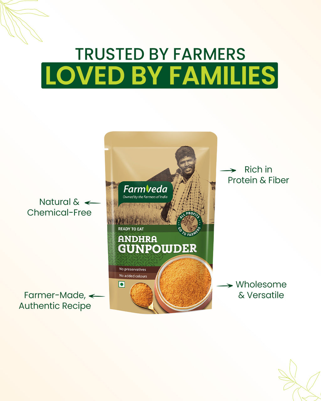 Andhra Gunpowder - 100 gm