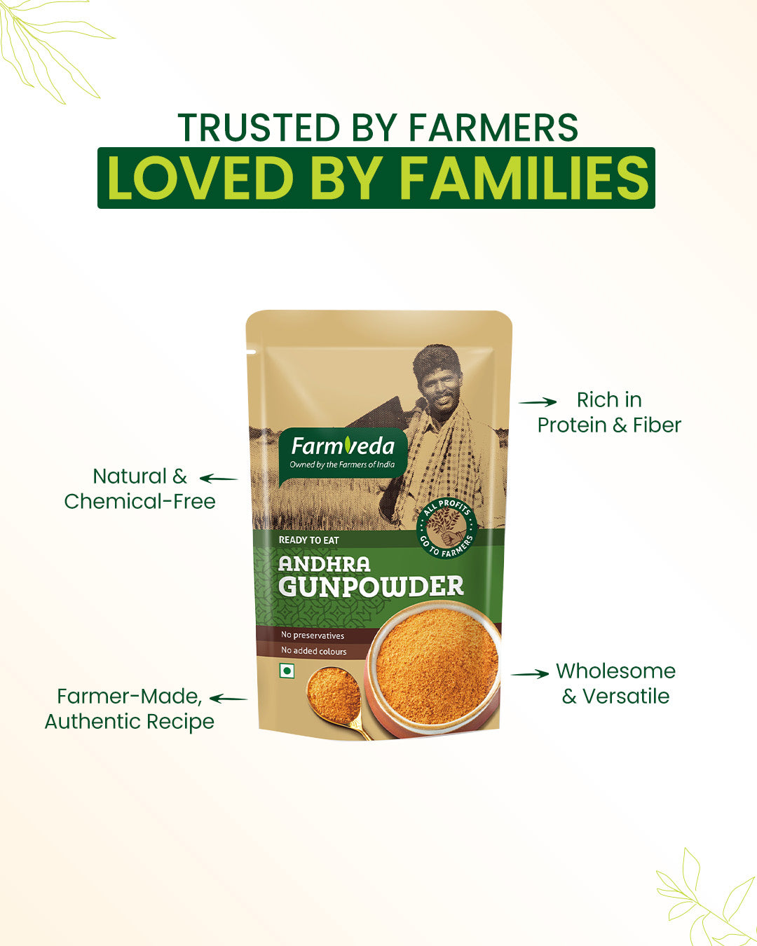 Andhra Gunpowder - 100 gm