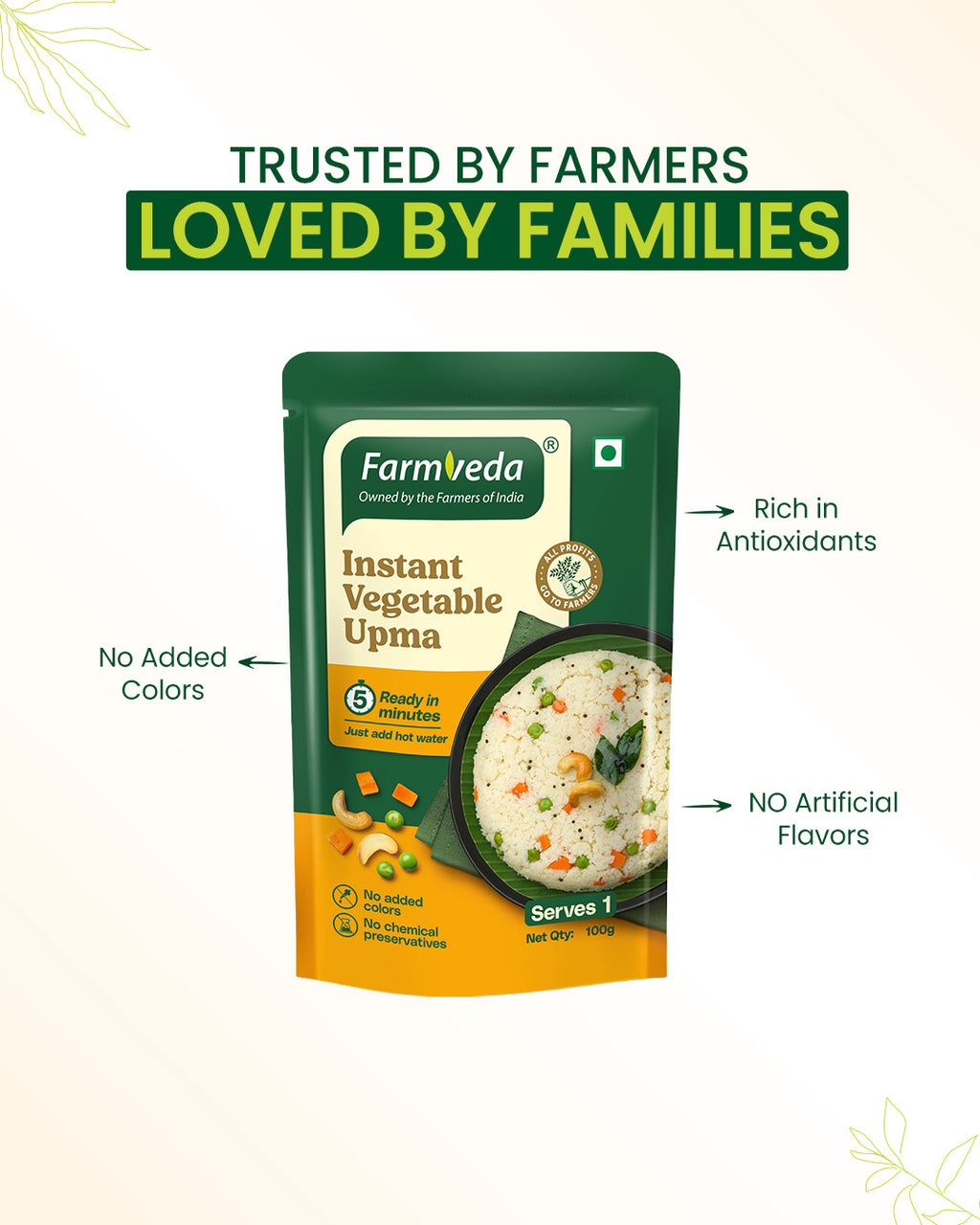Instant Vegetable Upma Mix - 100gm*Pack of 5