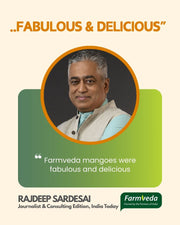 Kesar Mango | 100% Organic | Naturally Ripened (3Kg Box) - Delivery on/before 10 May