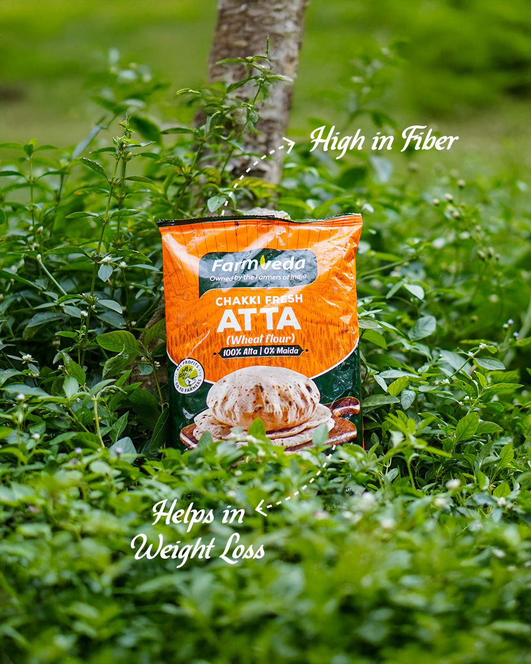 Chakki Fresh Atta (Wheat Flour) - 1 Kg
