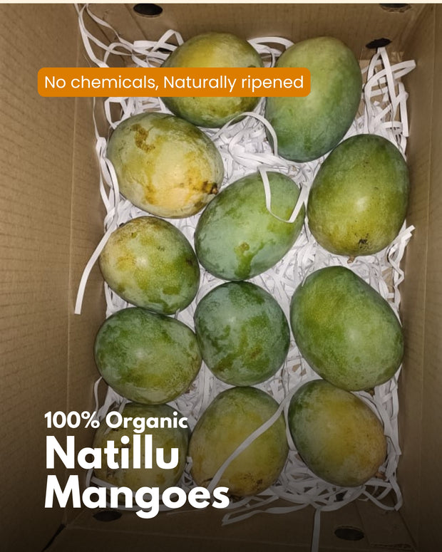 Farmveda Nattilu Mango | 100% Organic | Naturally Ripened (3 Kg Box)