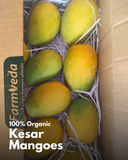 Kesar Mango | 100% Organic | Naturally Ripened (3Kg Box) - Delivery on/before 10 May