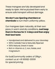 Farmveda Naturally Ripened | 100% Organic Langda Mangoes from Bhagalpur, Bihar - 3 kg Box (Delivery by 17th-18th June)