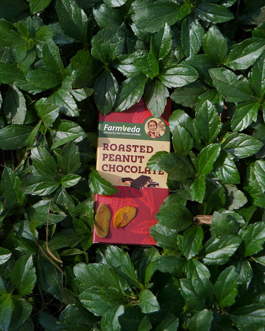 Roasted Peanut Chocolate - Pack of 2
