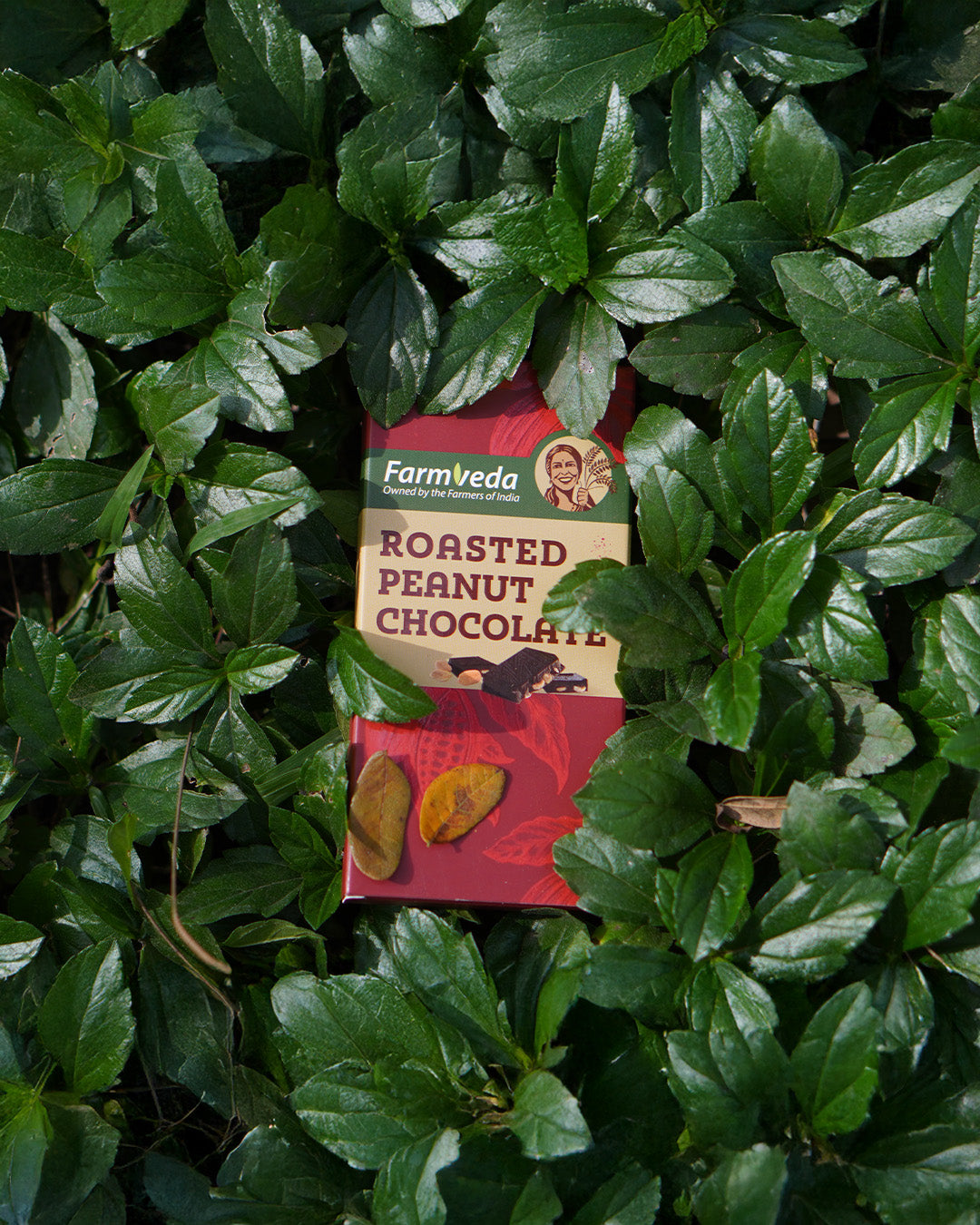 Roasted Peanut Chocolate - Pack of 2
