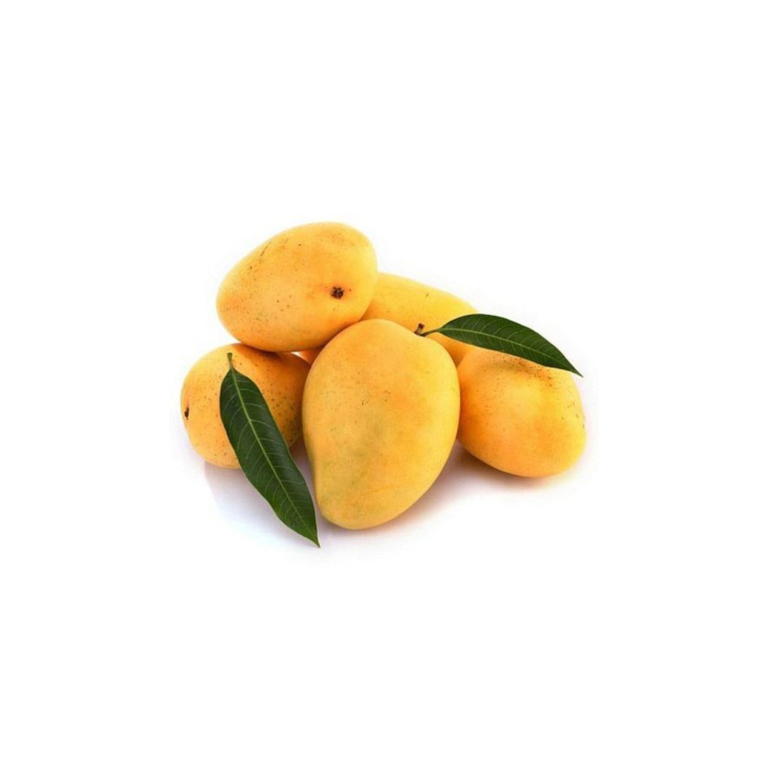Gir Fresh  Kesar Mango 100% Organic |Naturally Ripened Mangoes  (3 Kg Per Box) 189/- Kg