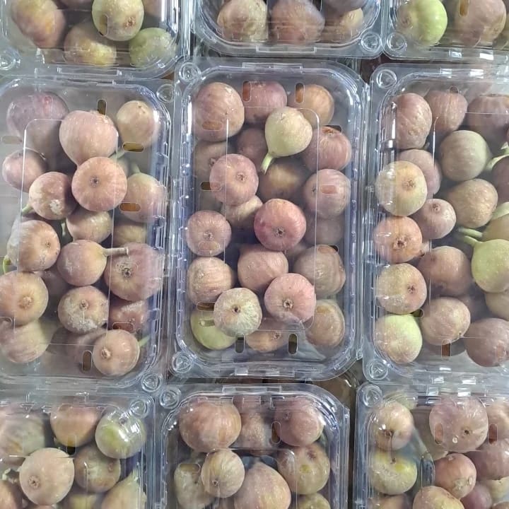 100% Organic Premium Fresh Figs – Handpicked