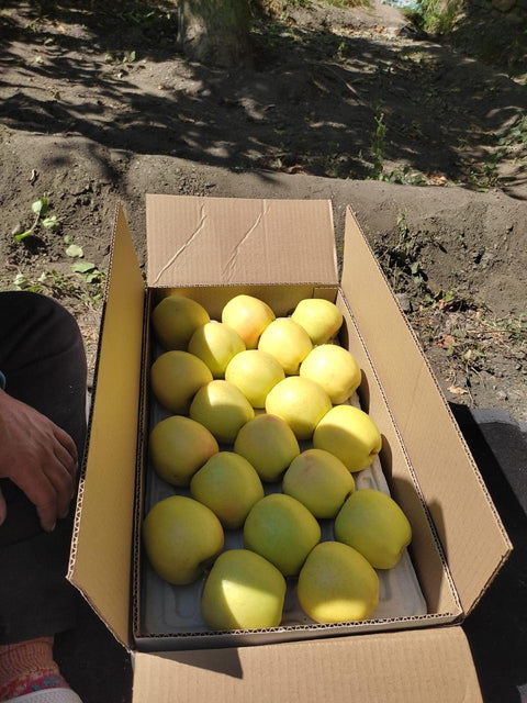 Farmveda Premium Golden Delicious Apples from Himachal - Certified Natural, Pesticide-Free, High-Altitude Grown in Spiti District, Crunchy & Juicy, 2kgs, Fresh Handpicked Delivery by Tuesday, 29th November