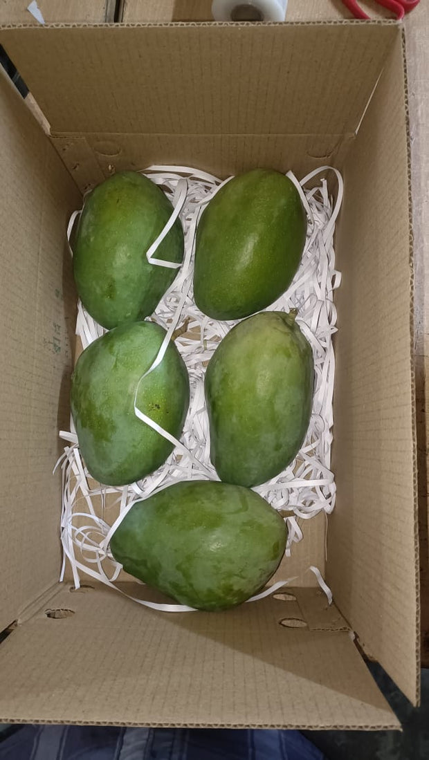 Assorted Mango Box (1 Himayat, 1 banaganapall, Rest Kesar) (total 3 KG) | Delivery on 19-20th May