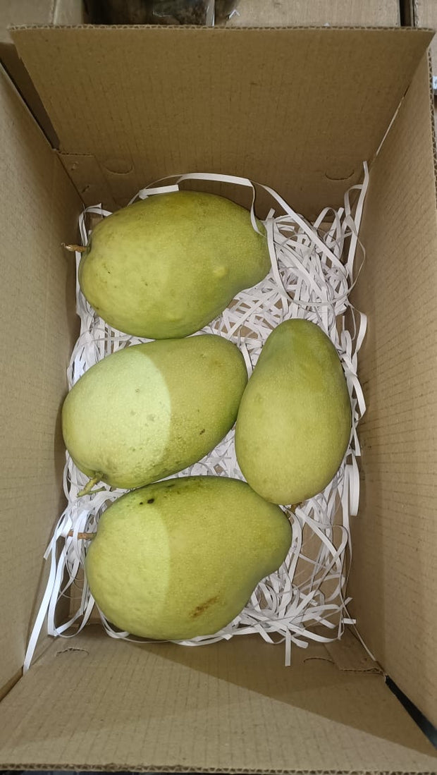 Assorted Mango Box (1 Himayat, 1 banaganapall, Rest Kesar) (total 3 KG) | Delivery on 19-20th May