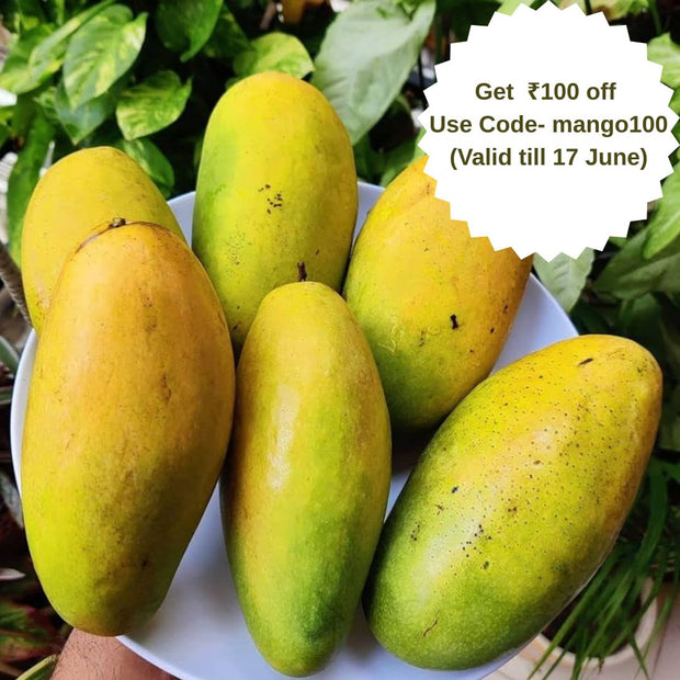 Farmveda Naturally Ripened Dasheri/Dussheri Mangoes | 3Kg | Delivery by 17th-18th June (Tue-Wed)