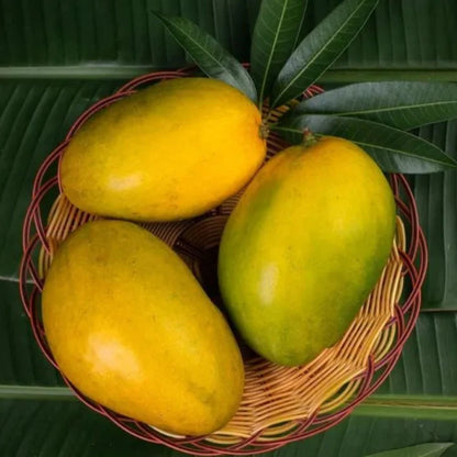 Premium Imam Pasand/ Himayat  Mangoes | Fresh, Juicy, and 100% Organic | Naturally ripened mangoes(3 Kg Per Box) 279/- KG