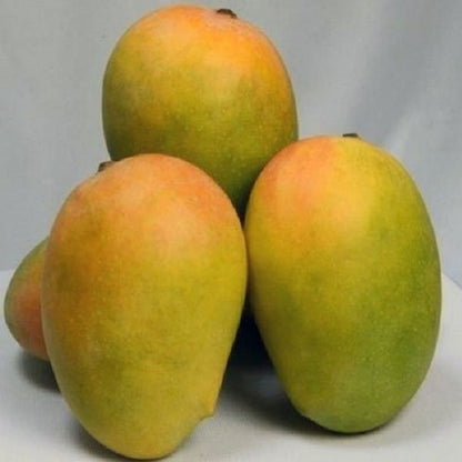 Gir Fresh  Kesar Mango 100% Organic |Naturally Ripened Mangoes  (3 Kg Per Box) 189/- Kg